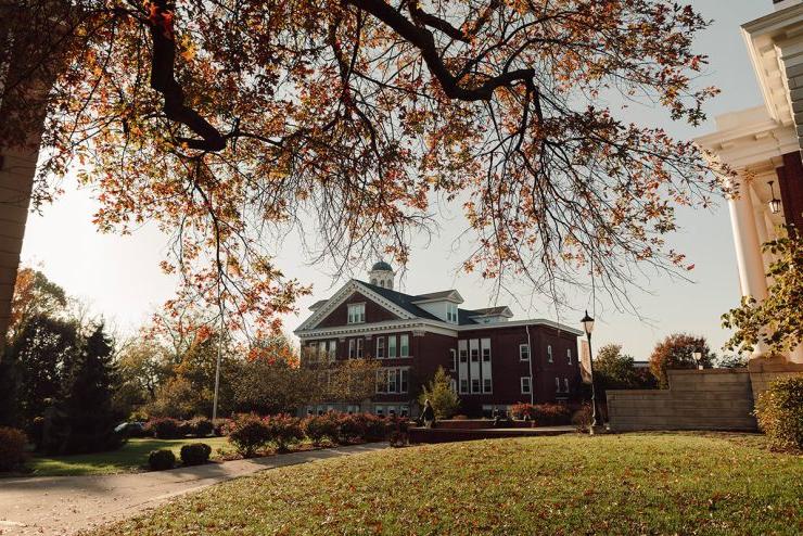 秋天博彩app推荐校园的风景，前面是树枝，地上是树叶